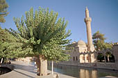 Urfa, Halil Ur Rahman Mosque